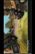 Star Wars: Episode I Widevision 3Di (Base Set) card 19