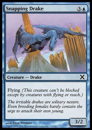 Magic the Gathering: 10th Edition (Base Set) card 110 Snapping Drake