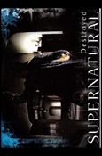 Supernatural: Season One (Base Set) card 21 Destroyed