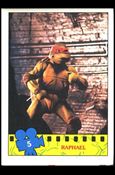 Teenage Mutant Ninja Turtles Movie (Base Set) card 5 Raphael