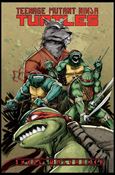 Teenage Mutant Ninja Turtles (2016)  Cover Image 1