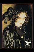 Crow: The Movie (Promo) Cover Image 2
