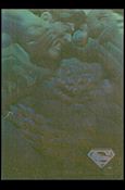 Superman Holo Series (Gold Hologram Parallel Base Set) card 38 Fists of Doom 