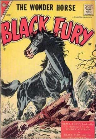 Black Fury issue 10