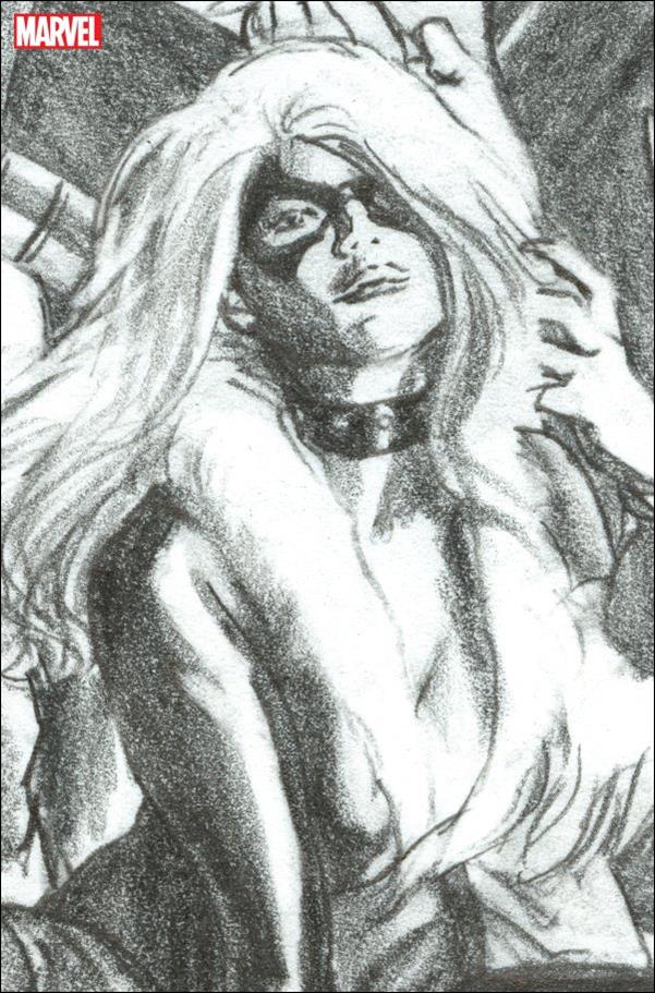 Mary Jane & Black Cat issue 4-E Alex Ross 1:100 Black Cat Virgin Sketch Cover