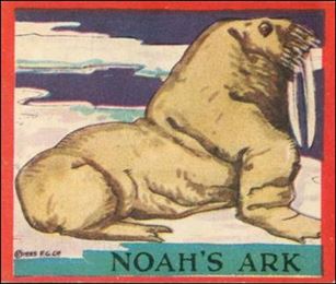 Noah's Ark (Base Set) card 23 Walrus