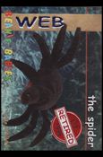 Beanie Babies Series 1 (Retired Beanies Subset) Cover Image 2