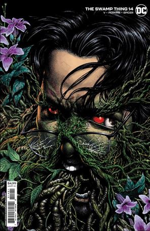 Swamp Thing (2021) issue 14-B Steve Beach Cardstock Cover