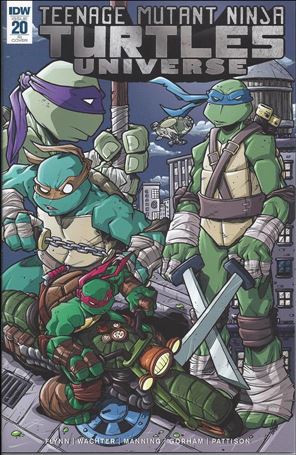 Teenage Mutant Ninja Turtles Universe issue 20-C Tim Laddie 1:10 Cover