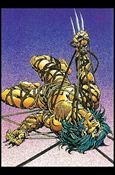 Wolverine: From Then 'Til Now II (Base Set) card 8 Project X