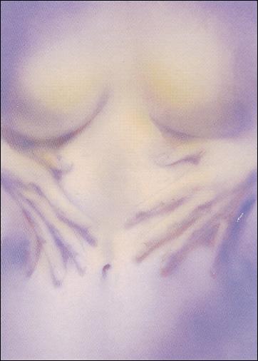 Royo: Secret Desires (Base Set) card 9 Untitled