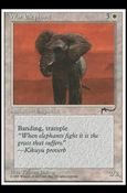 Magic the Gathering: Chronicles (Base Set) card 13 War Elephant