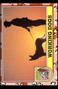 Desert Storm: Series 3 (Base Set) card 220