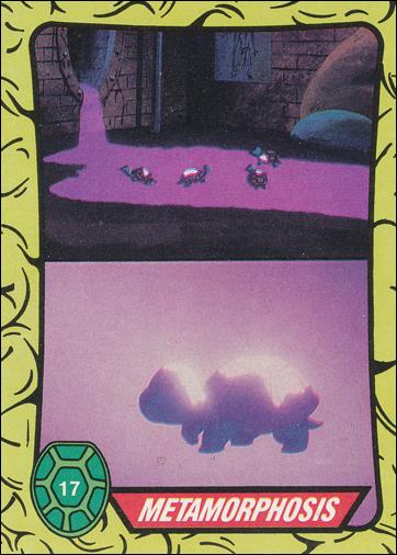 Teenage Mutant Ninja Turtles: Series 1 (Base Set) card 17 Metamorphosis