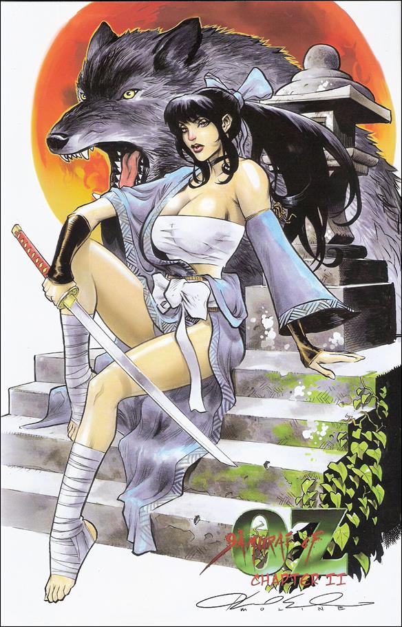 Samurai of Oz issue 2-B Karl Molone Cover
