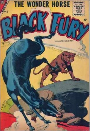 Black Fury issue 8