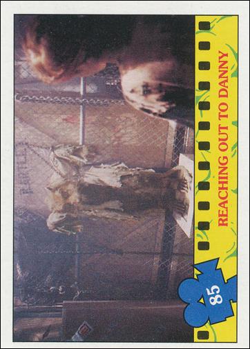 Teenage Mutant Ninja Turtles Movie (Base Set) card 85 Reaching Out to Danny