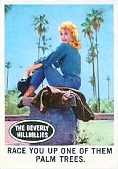 Beverly Hillbillies (Base Set) card 48 Race You Up One of Them Palm Trees.