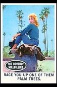 Beverly Hillbillies (Base Set) card 48 Race You Up One of Them Palm Trees.