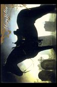 Sleepy Hollow (Movie) (Base Set) card 52 Ghost Horse