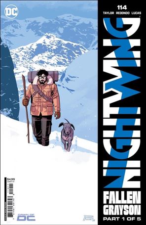 Nightwing (2016) issue 114 Bruno Redondo Cover