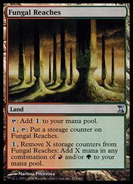Magic the Gathering: Time Spiral (Base Set) card 273 Fungal Reaches