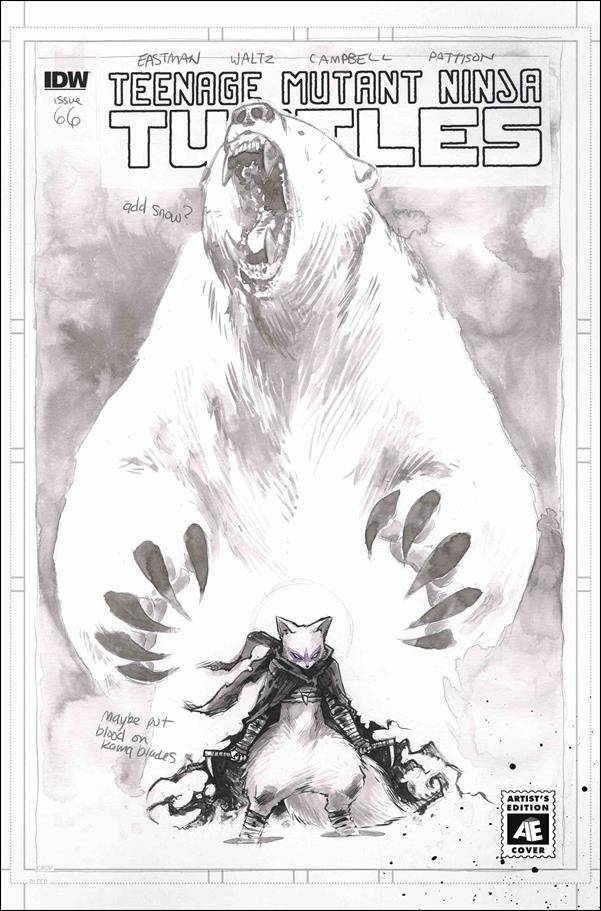Teenage Mutant Ninja Turtles (2011) issue 66-C Sophie Campbell Artist's Edition Sub Cover