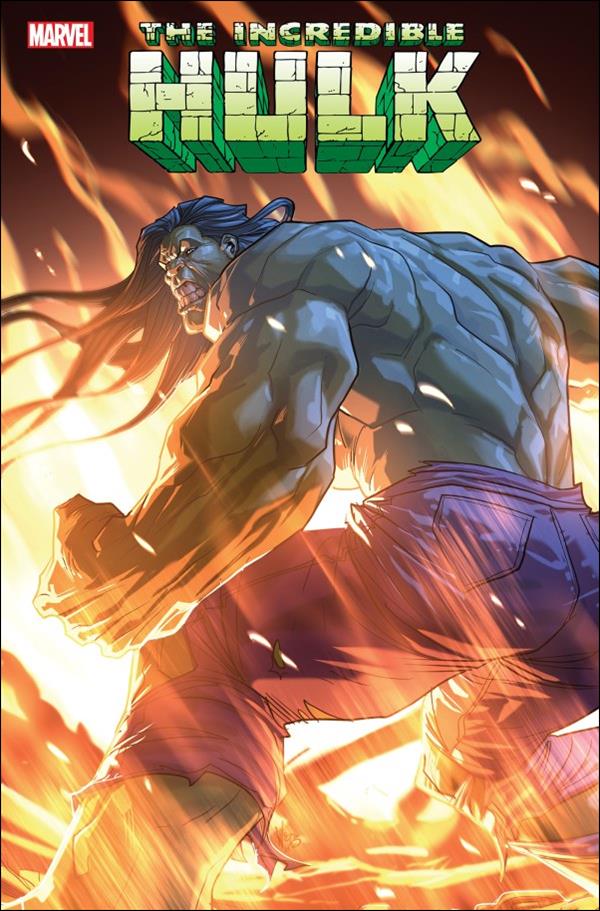 Incredible Hulk (2023) issue 19-E Pete Woods Cover
