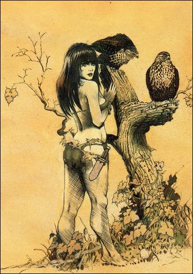 Art Suydam (Base Set) card 13 The Falconess