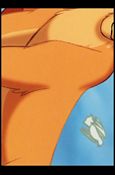 Lion King: Series II (Base Set) card 107 
