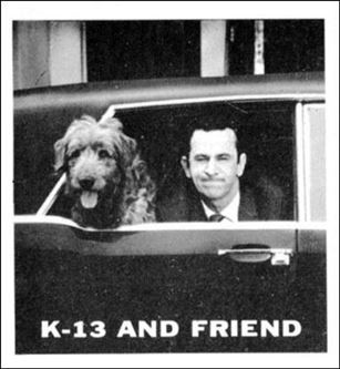 Get Smart (Base Set) card 8 K-13 and  Friend