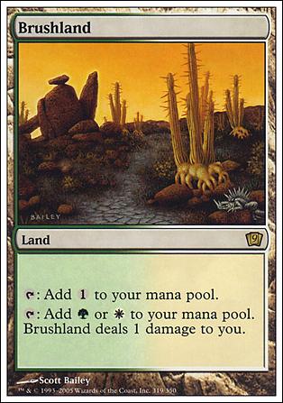Magic the Gathering: 9th Edition (Base Set) card 319 Brushland