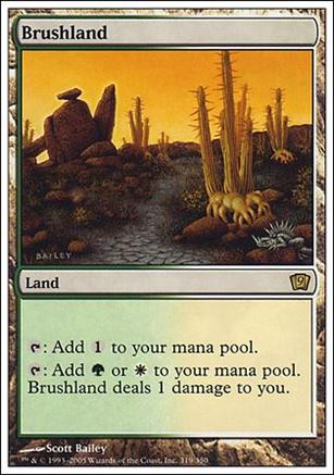 Magic the Gathering: 9th Edition (Base Set) card 319 Brushland