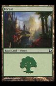 Magic the Gathering: Return to Ravnica (Base Set) card 272 Forest