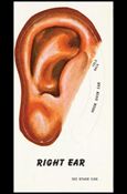Get Smart (Secret Agent Kits Subset) card 3 Right Ear
