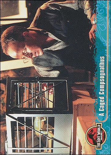 Lost World: Jurassic Park (Base Set) card 13 A Caged Compsognathus