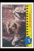 Teenage Mutant Ninja Turtles Movie (Base Set) card 102 "Kill Splinter!"