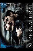 Supernatural: Season One (Base Set) card 9 Saved