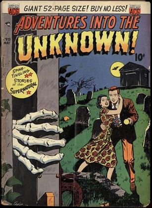 Adventures into the Unknown (1948) issue 19
