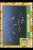 Desert Storm: Series 1 (Base Set) card 62 Moving In