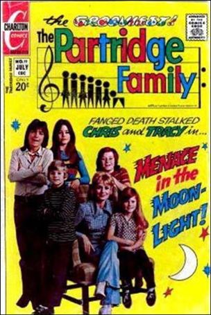 Partridge Family issue 19