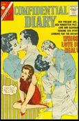 Confidential Diary issue 16