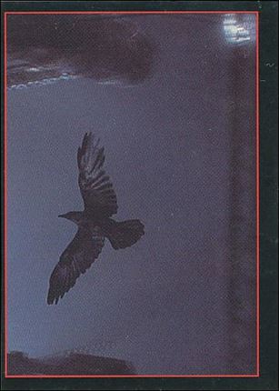 Crow: The Movie (Base Set) card 50 The Crow in Flight