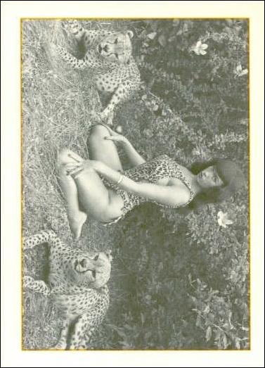 Bunny Yeager's Bettie Page (Base Set) card 24
