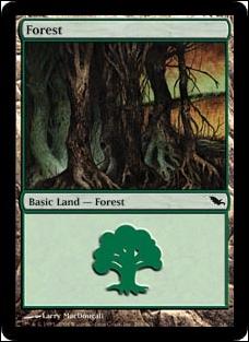 Magic the Gathering: Shadowmoor (Base Set) card 298 Forest
