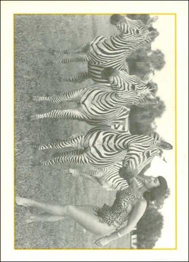 Bunny Yeager's Bettie Page (Base Set) card 31