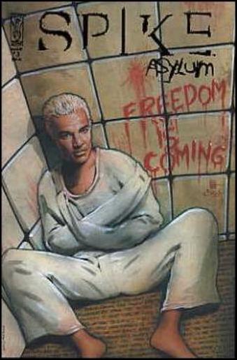 Spike: Asylum issue 3-B Matt Busch Cover