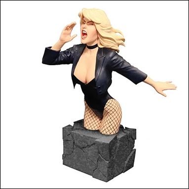 Women of the DC Universe (Series 1) item 12 Black Canary 1/5000