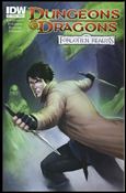 Dungeons & Dragons: Forgotten Realms Cover Image 2