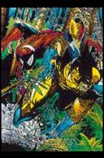 Spider-Man: The McFarlane Era (Base Set) card 61 Crime Fighters 